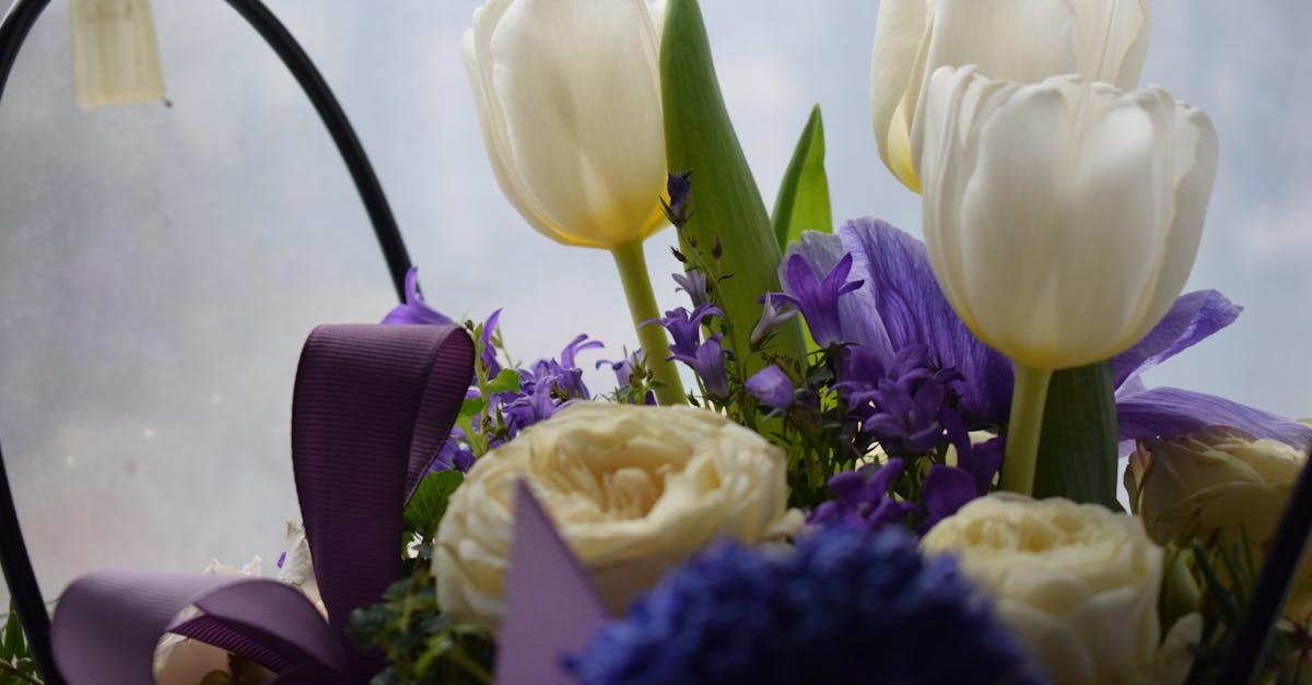 découvrez l'hyacinth, une plante à fleurs aux couleurs éclatantes et au parfum envoûtant. apprenez à cultiver et entretenir cette magnifique plante pour embellir votre jardin ou votre intérieur.
