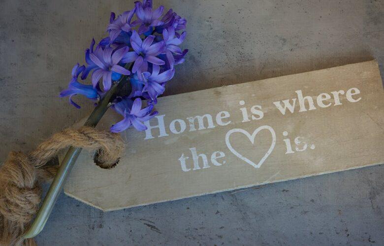 découvrez tout sur l'hyacinth, une fleur élégante et parfumée qui embellit votre jardin. apprenez les secrets de sa culture, ses variétés et comment l'utiliser en décoration.