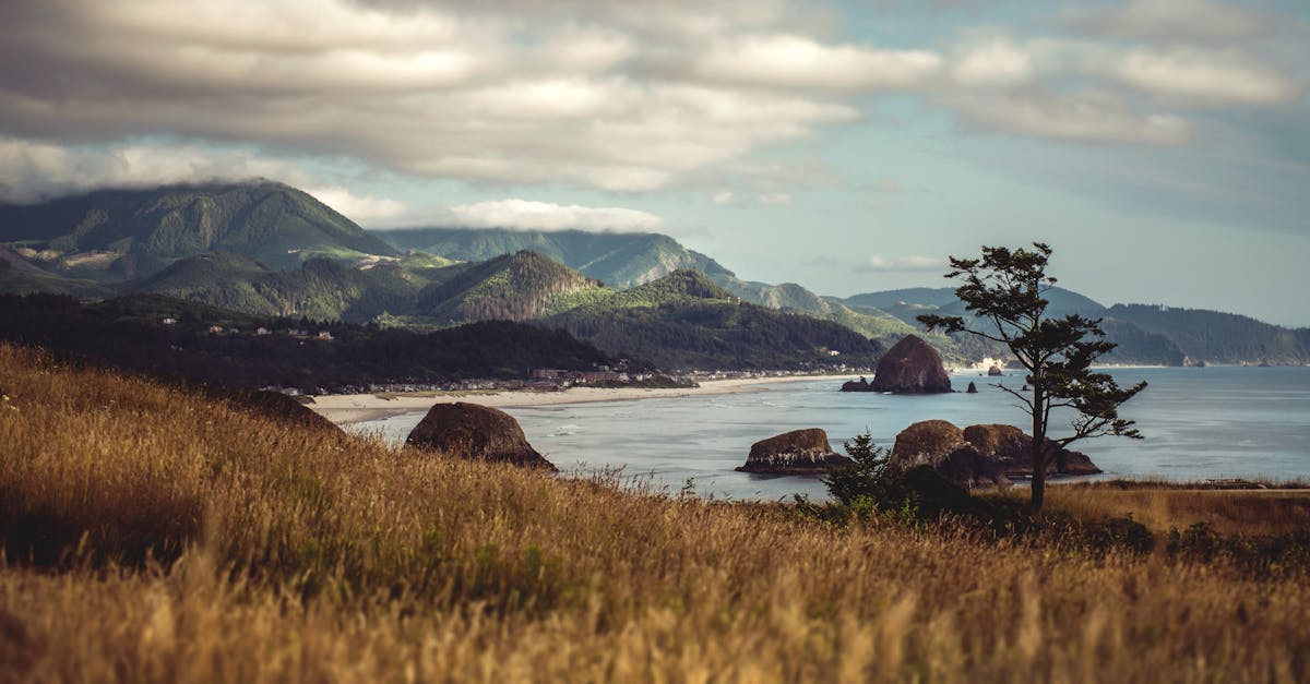 découvrez la plus grande région du monde, riche en paysages diversifiés et en cultures fascinantes. explorez ses merveilles naturelles, ses traditions uniques et les activités passionnantes qu'elle a à offrir. partez à la découverte d'un territoire vaste et enchanteur qui ne manquera pas de vous émerveiller.