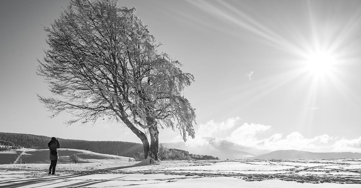 découvrez l'univers fascinant des solitaires dans notre exploration approfondie des 'loners'. plongez dans leur psychologie, leurs modes de vie uniques et les raisons qui les poussent à choisir la solitude. un voyage captivant au cœur de l'indépendance et de l'authenticité.