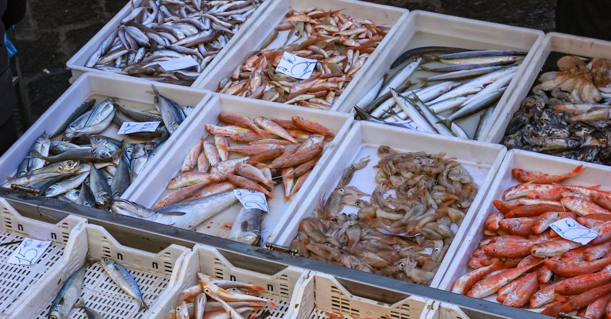 découvrez tout sur le maquereau, un poisson riche en oméga-3 et en nutriments. apprenez ses bienfaits pour la santé, des recettes savoureuses et conseils de cuisson pour profiter de ce délice marin.