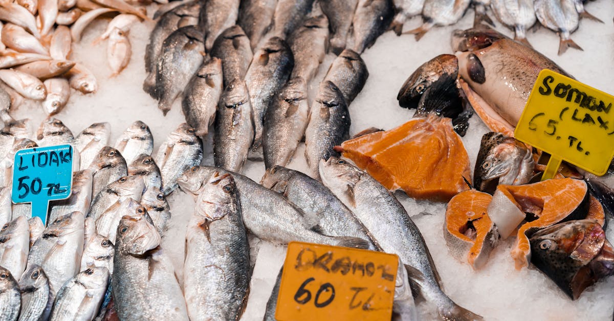 découvrez le maquereau, un poisson savoureux riche en oméga-3, idéal pour une alimentation saine. explorez ses recettes variées, ses bienfaits nutritionnels et apprenez à le cuisiner de manière délicieuse.