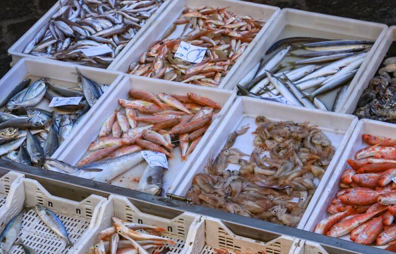 découvrez le maquereau, un poisson riche en oméga-3, idéal pour des recettes saines et savoureuses. apprenez à le cuisiner de différentes manières et profitez de ses bienfaits nutritionnels.