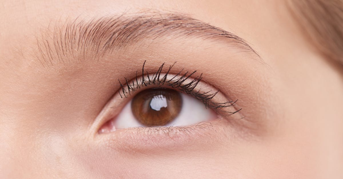 découvrez notre sélection de mascaras essentiels pour des cils volumineux et longs. transformez votre regard avec des formulations hypoallergéniques et durables, adaptées à tous les types de yeux. trouvez le mascara parfait pour un effet naturel ou audacieux, et illuminez votre beauté au quotidien.