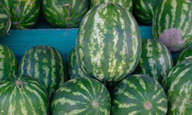 découvrez tout ce que vous devez savoir sur l'allergie au melon : symptômes, causes, traitements et conseils pour vivre en toute sécurité avec cette allergie alimentaire. protégez votre santé et apprenez à identifier les risques liés à la consommation de melon.