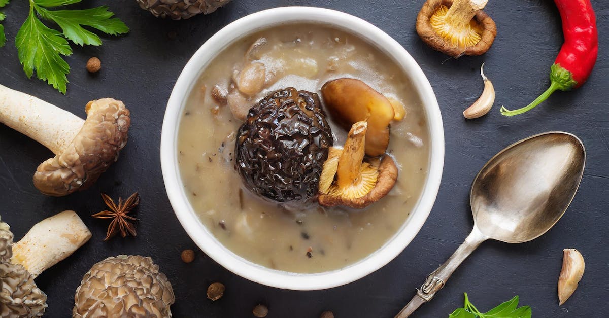 découvrez l'univers des morilles, champignons prisés des gastronomes. apprenez à les reconnaître, à les cuisiner et savourez leur saveur unique dans vos plats. plongez dans l'histoire et les secrets de la cueillette des morilles et laissez-vous séduire par leurs recettes délicieuses.