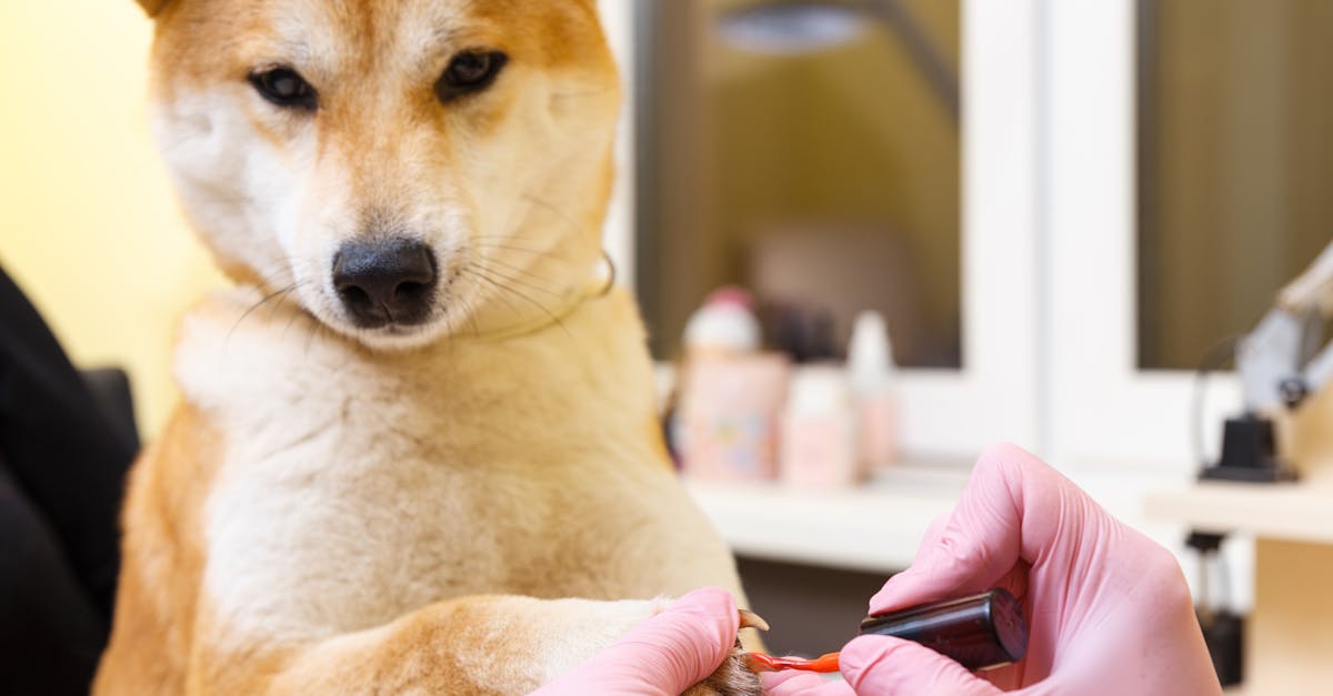 découvrez des astuces efficaces pour accélérer le séchage de votre vernis à ongles. apprenez comment appliquer votre polish comme un pro et obtenez des résultats éclatants sans risques de bavures.