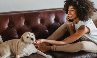découvrez une sélection amusante et originale de noms pour vos animaux de compagnie. trouvez le nom parfait pour votre fidèle compagnon avec nos idées inspirantes et tendances.