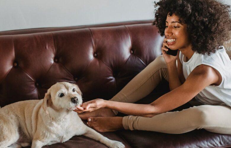 découvrez une sélection amusante et originale de noms pour vos animaux de compagnie. trouvez le nom parfait pour votre fidèle compagnon avec nos idées inspirantes et tendances.