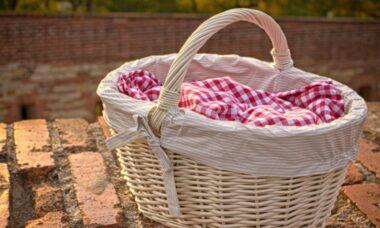découvrez des idées et conseils pour organiser le pique-nique parfait, que ce soit en famille ou entre amis. profitez de recettes savoureuses, d'astuces pour le choix des lieux et d'activités divertissantes pour une journée inoubliable en plein air.
