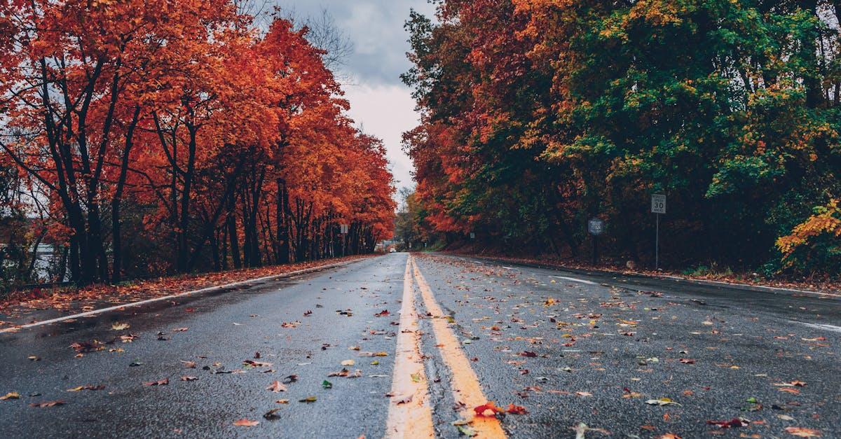 découvrez les charmes de chaque saison avec nos conseils et astuces pour profiter pleinement de l'hiver, du printemps, de l'été et de l'automne. explorez les activités, les tendances et les inspirations qui vous permettront de célébrer chaque moment de l'année.