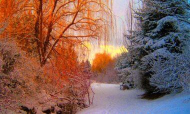 découvrez les saisons de l'année et leurs caractéristiques uniques. plongez dans un monde de couleurs, de sensations et d'activités saisonnières qui enrichissent notre quotidien.