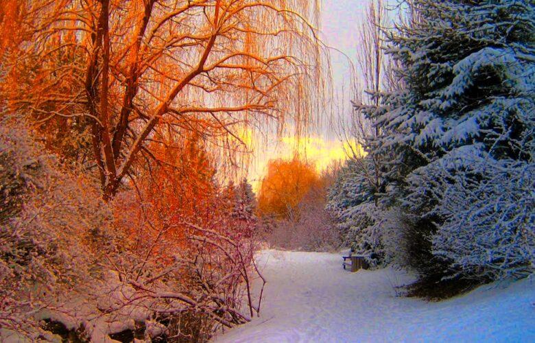 découvrez les saisons de l'année et leurs caractéristiques uniques. plongez dans un monde de couleurs, de sensations et d'activités saisonnières qui enrichissent notre quotidien.