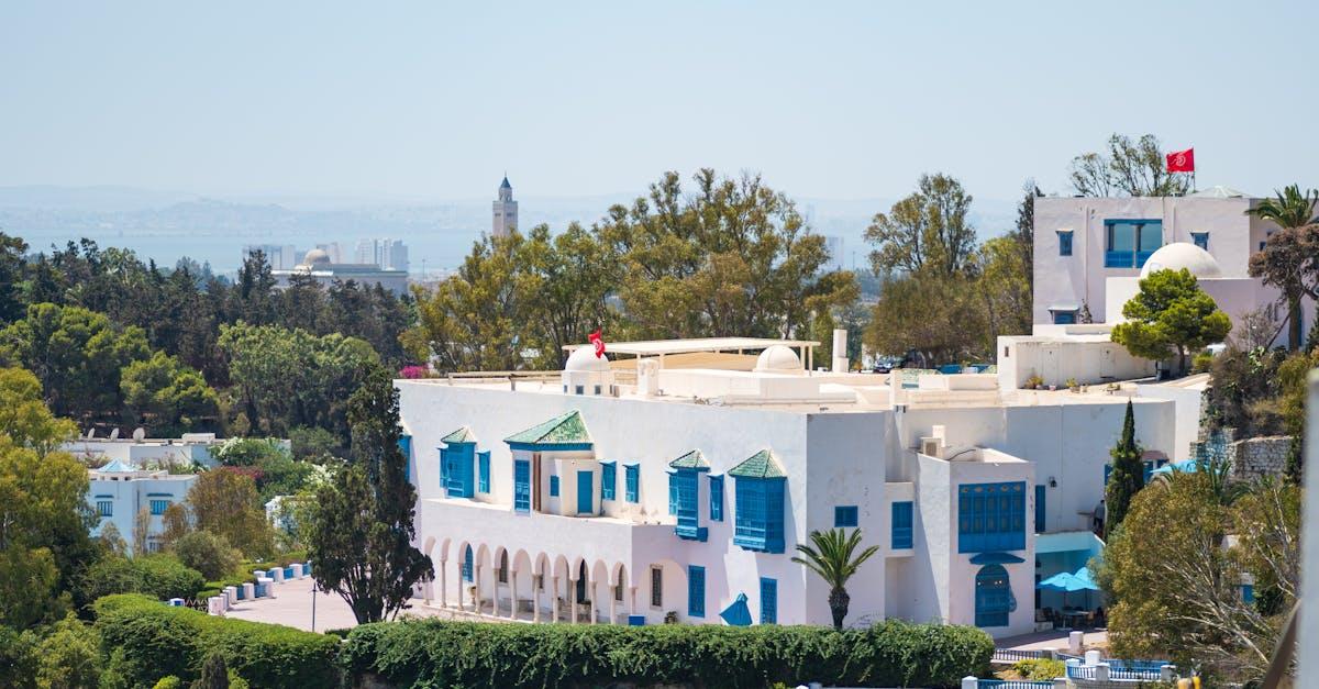 découvrez sidi bou said, un charmant village tunisien aux maisons blanches et volets bleus, offrant des vues imprenables sur la méditerranée. explorez ses ruelles pittoresques, ses cafés traditionnels et son ambiance artistique unique.