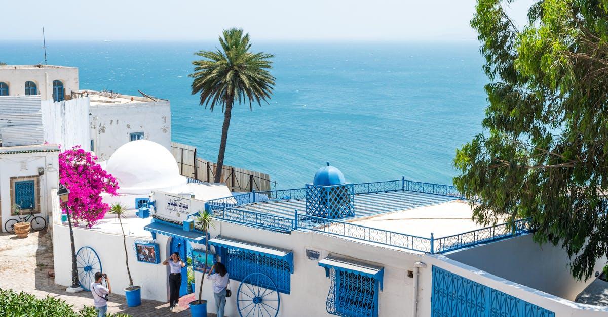 découvrez sidi bou said, un charmant village côtier tunisien aux maisons blanches et volets bleus. profitez de ses ruelles pittoresques, de sa vue imprenable sur la mer méditerranée, et de son ambiance artistique unique. une escapade incontournable pour les amoureux de la culture et de la beauté naturelle.