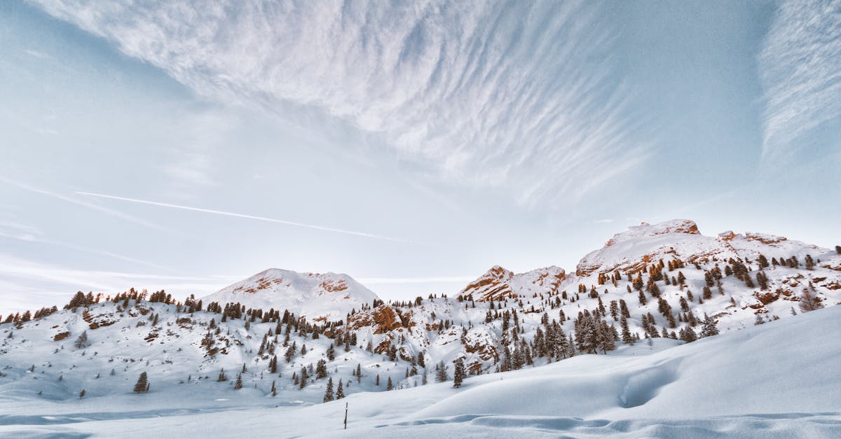 découvrez l'univers enchanteur de la neige : sports d'hiver, paysages féeriques et moments de convivialité entre amis et en famille. plongez dans l'ambiance hivernale et laissez-vous séduire par les activités de plein air qui font de la saison froide une expérience inoubliable.