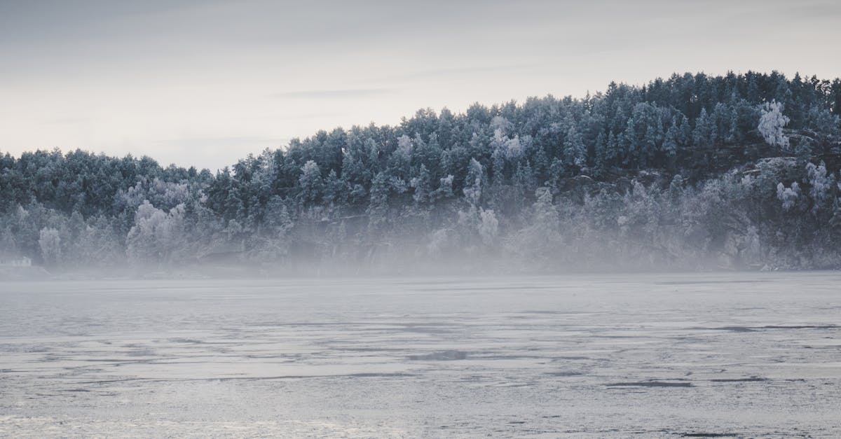 découvrez la magie de la neige : activités, conseils et inspirations pour profiter pleinement de l'hiver. plongez dans un monde d'évasion avec des panoramas enneigés, des sports d'hiver palpitants et des moments de convivialité en pleine nature.