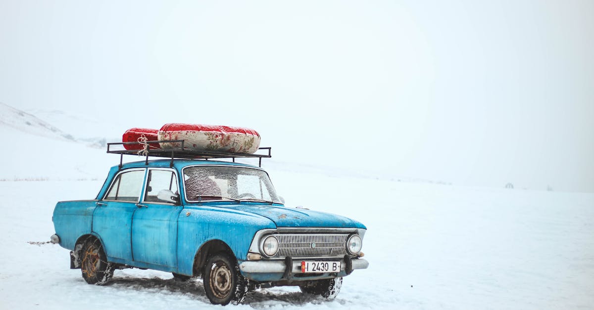 découvrez l'enchantement de la neige : activités, paysages féériques et astuces pour profiter au maximum de l'hiver. plongez dans un monde magique où la neige transforme la nature en un paradis blanc.