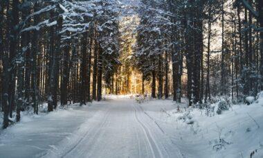 découvrez l'univers magique de la neige ! plongez dans un monde hivernal où les flocons dansent et les paysages se transforment en paysages féériques. que vous soyez amateurs de sports d'hiver ou simplement séducteurs par la beauté de la neige, cette aventure hivernale vous invite à explorer l'émerveillement de la saison froide.