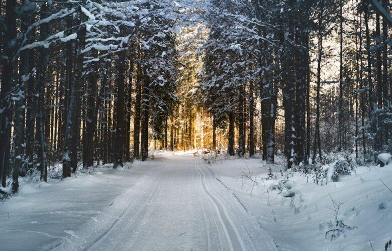 découvrez l'univers magique de la neige ! plongez dans un monde hivernal où les flocons dansent et les paysages se transforment en paysages féériques. que vous soyez amateurs de sports d'hiver ou simplement séducteurs par la beauté de la neige, cette aventure hivernale vous invite à explorer l'émerveillement de la saison froide.