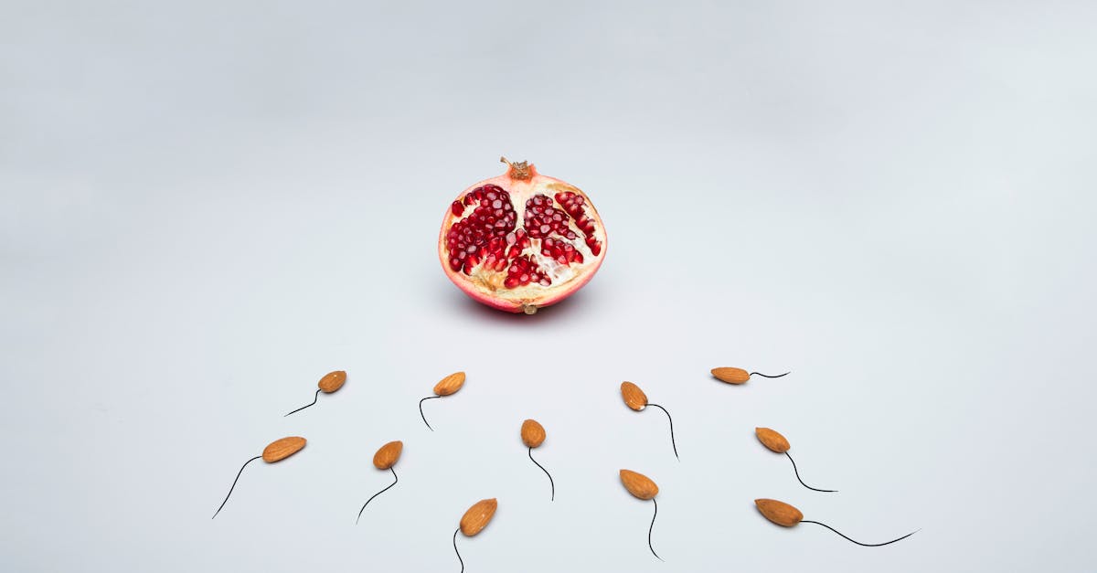 découvrez tout ce que vous devez savoir sur le sperme : sa composition, son rôle dans la reproduction et son importance pour la fertilité. informez-vous sur les facteurs influençant la qualité du sperme et les méthodes d'amélioration pour une santé reproductive optimale.