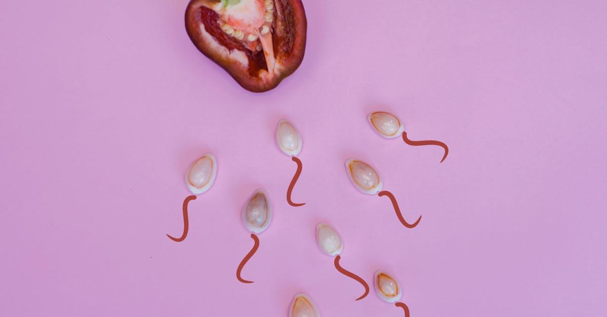 découvrez tout ce que vous devez savoir sur le sperme : son rôle dans la reproduction, sa composition et son importance dans la fertilité masculine. informez-vous sur les facteurs qui peuvent influencer sa qualité et sa santé.