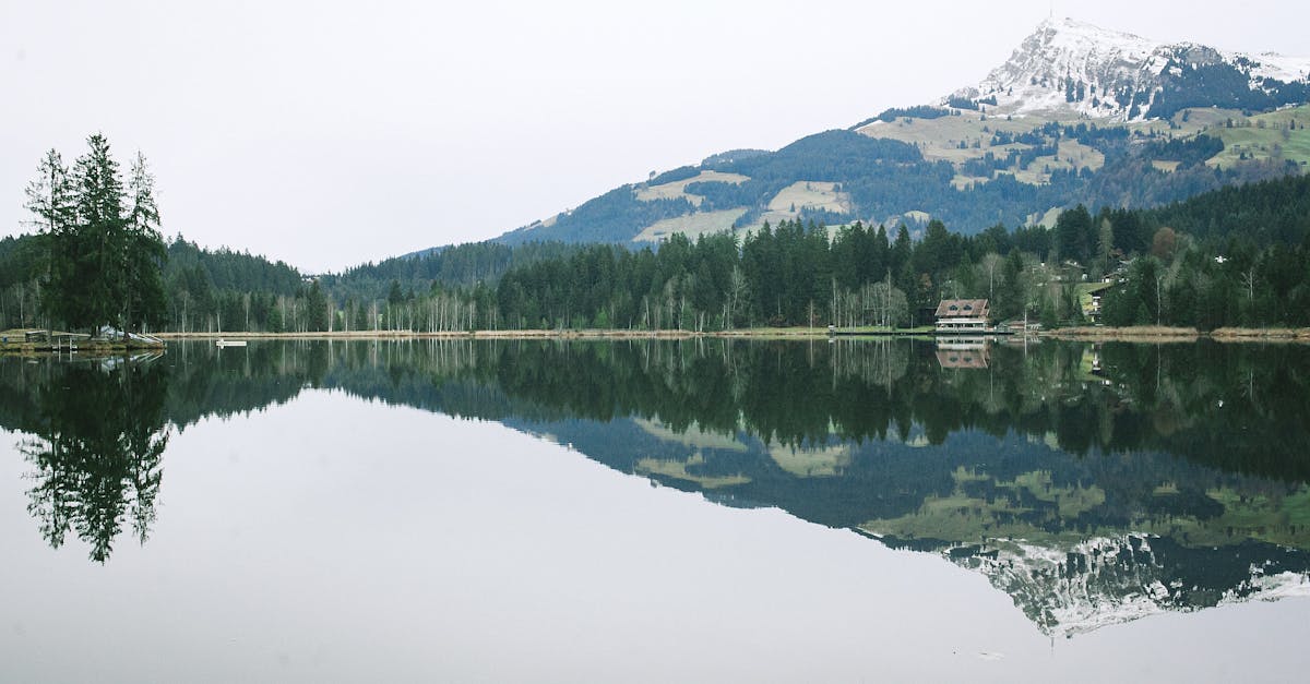stillwater est un lieu paisible et serein, idéal pour échapper à l'agitation du quotidien. découvrez un environnement naturel exceptionnel où vous pourrez vous ressourcer et profiter de moments de détente inoubliables.