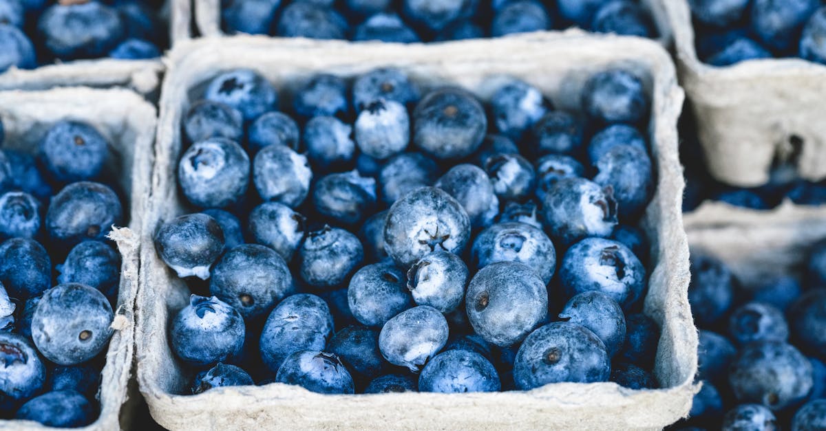 découvrez les superfoods, ces aliments incroyablement nutritifs qui boostent votre santé et votre bien-être. apprenez comment intégrer ces super-aliments dans votre alimentation quotidienne pour profiter de leurs nombreux bienfaits.
