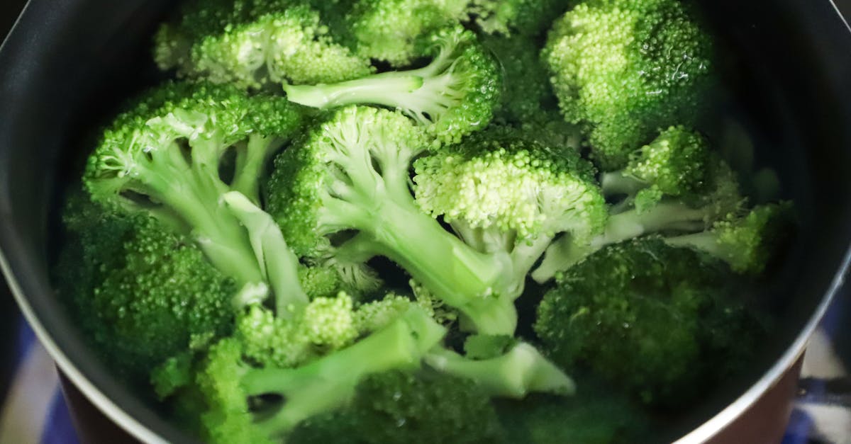 découvrez un monde de recettes végétariennes savoureuses et faciles à réaliser. explorez des plats délicieux, sains et respectueux de l'environnement pour un régime équilibré et gourmand.