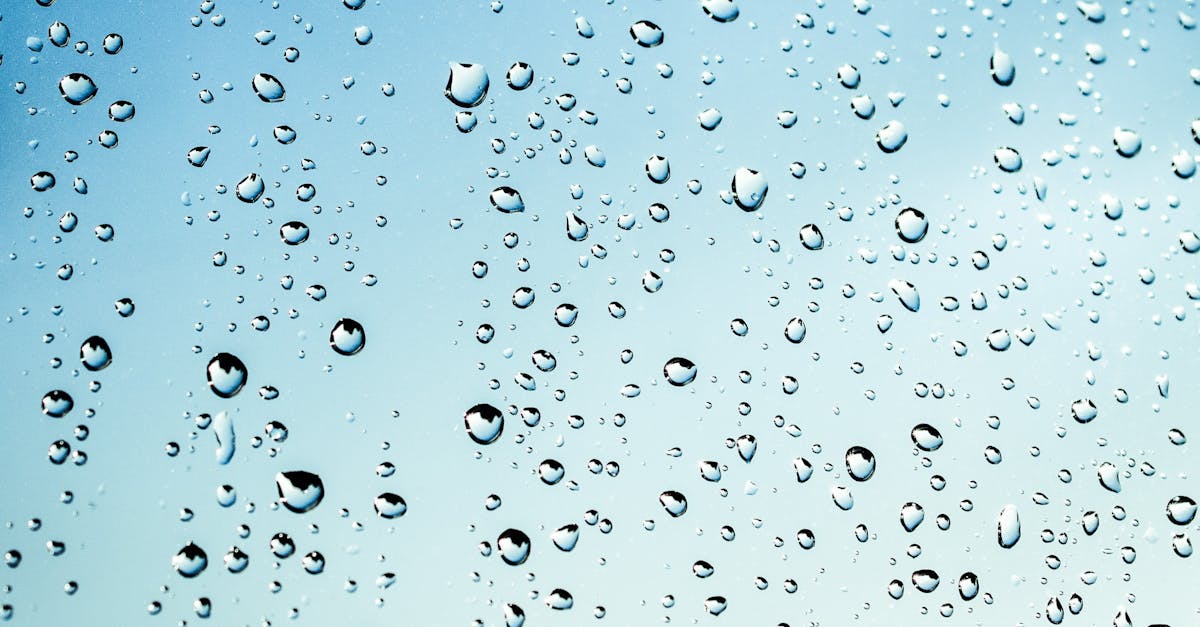 découvrez l'importance de l'eau pour notre planète et notre santé. apprenez comment préserver cette ressource essentielle, ses bienfaits pour le corps humain, et les défis liés à sa gestion dans le monde moderne.