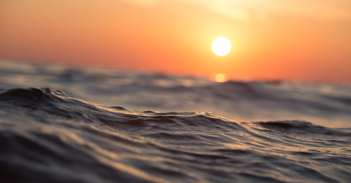 découvrez l'importance de l'eau dans notre vie quotidienne, ses bienfaits pour la santé, les différentes sources et l'impact de son utilisation sur l'environnement.
